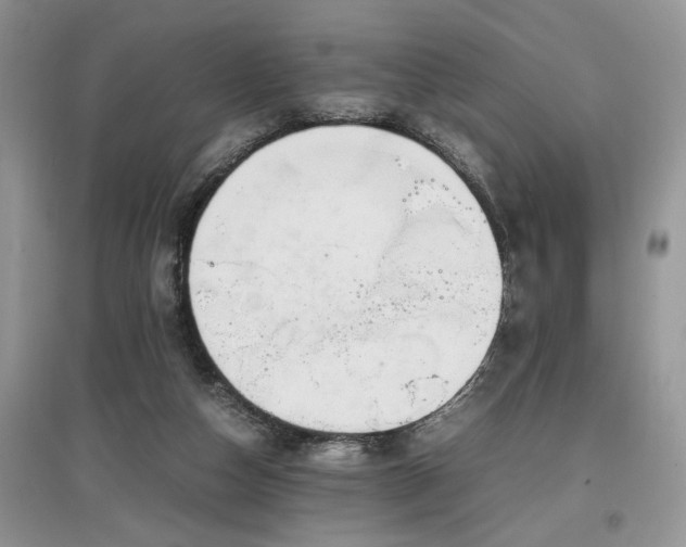 X0000097640162200803071600