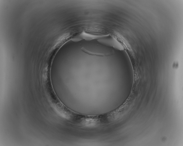 X0000097640163200803071600