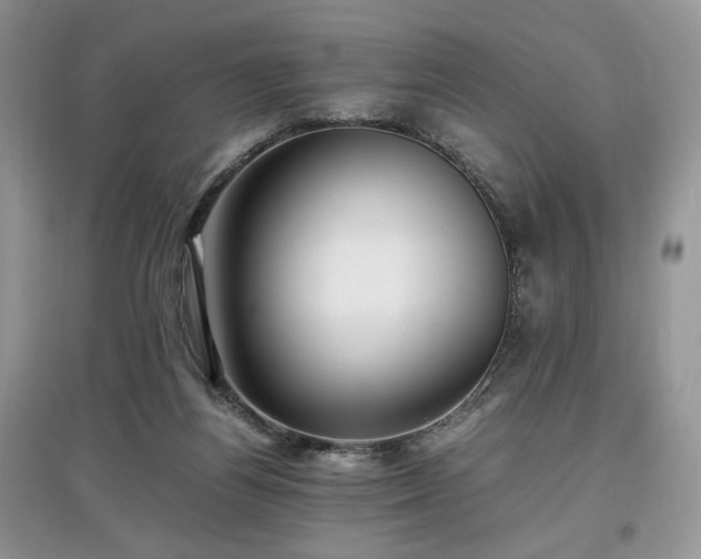 X0000097640164200803071600