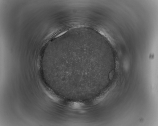 X0000097640165200803071600