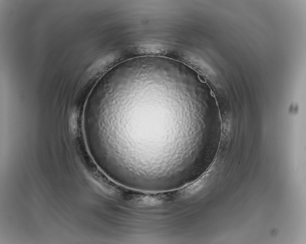 X0000097640166200803071600