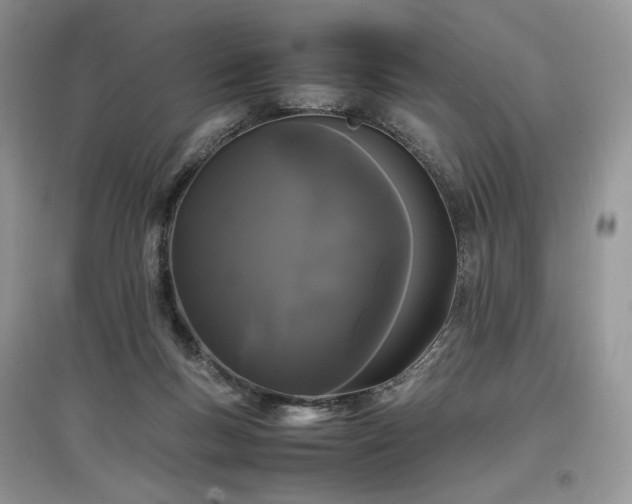 X0000097640167200803071600