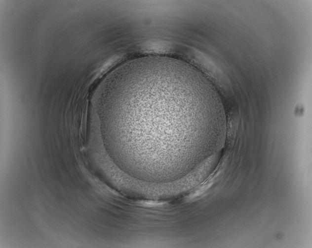 X0000097640168200803071600