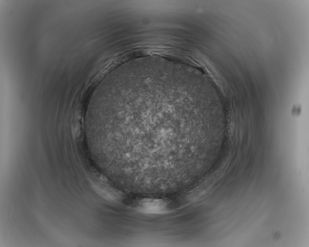 X0000097640169200803071600