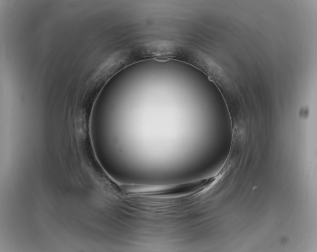 X0000097640170200803071600