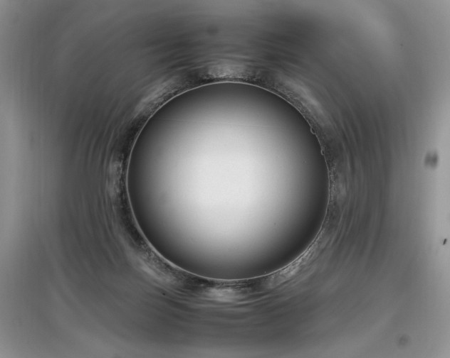 X0000097640171200803071600