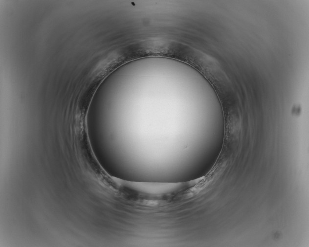 X0000097640172200803071600