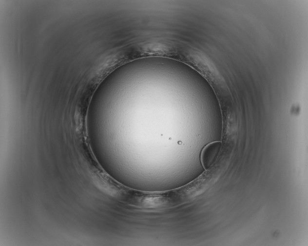 X0000097640173200803071600