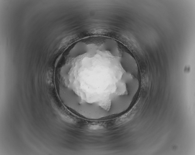 X0000097640175200803071600