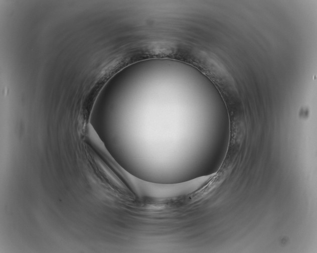 X0000097640176200803071600