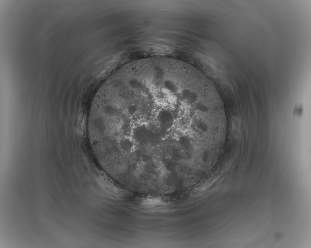 X0000097640177200803071600