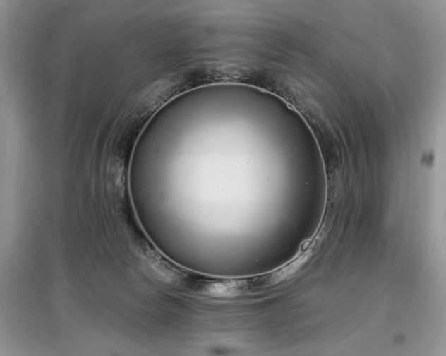 X0000097640178200803071600