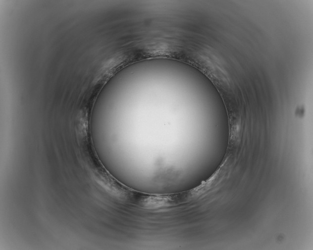 X0000097640179200803071600