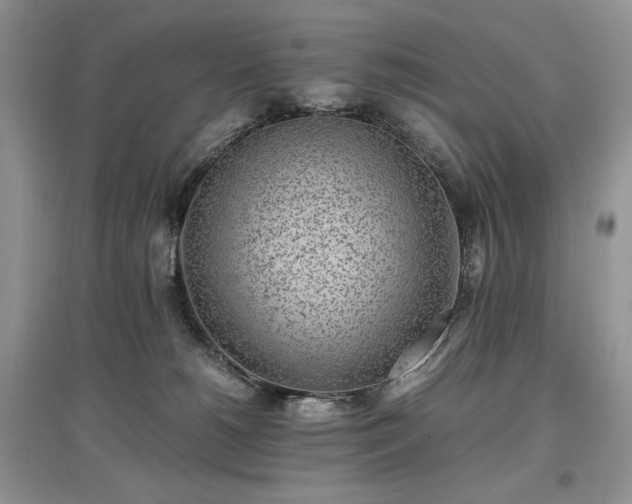 X0000097640180200803071600