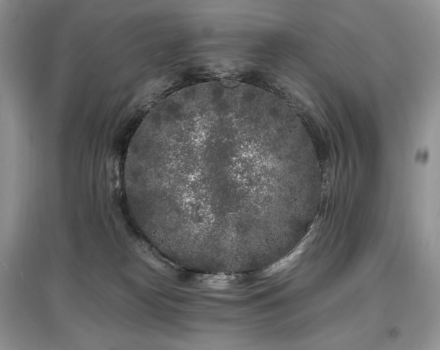 X0000097640182200803071600