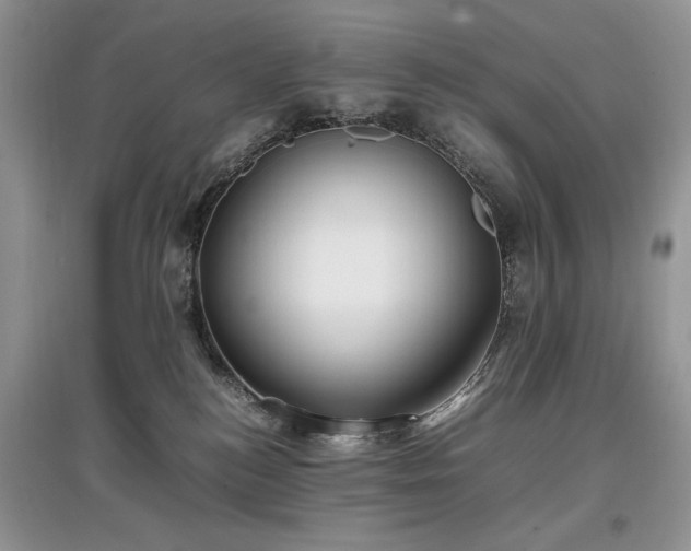 X0000097640184200803071600