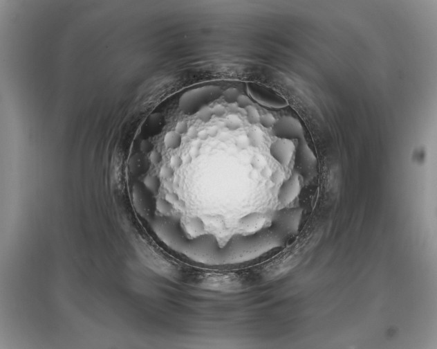 X0000097640185200803071600