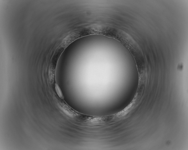 X0000097640186200803071600