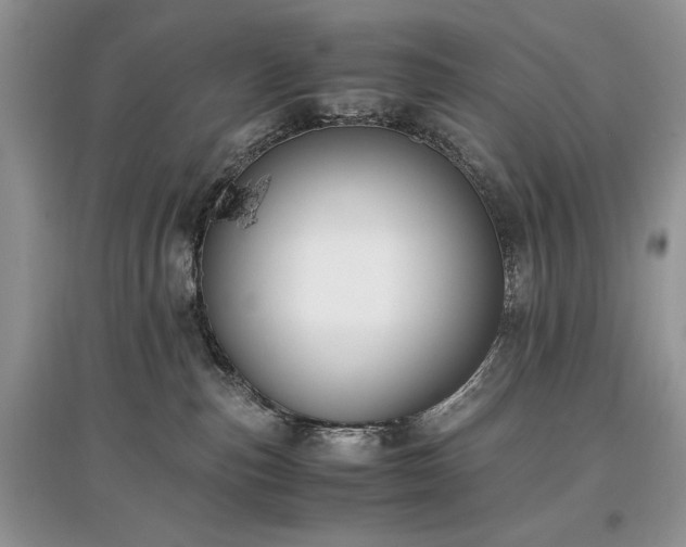 X0000097640187200803071600