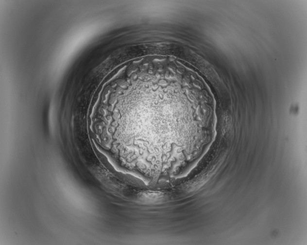 X0000097640189200803071600