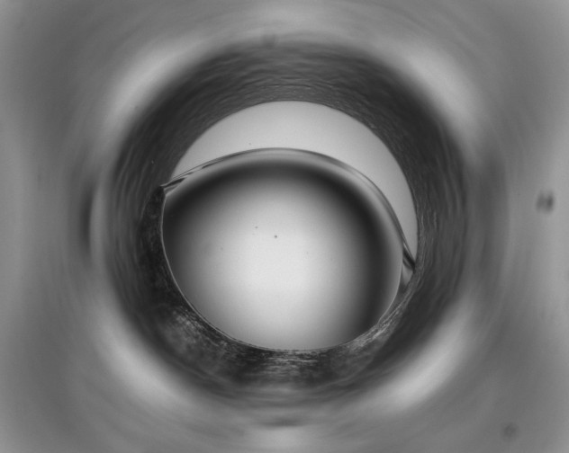 X0000097640190200803071600