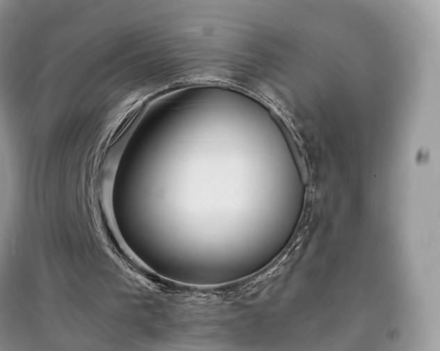 X0000097640193200803071600