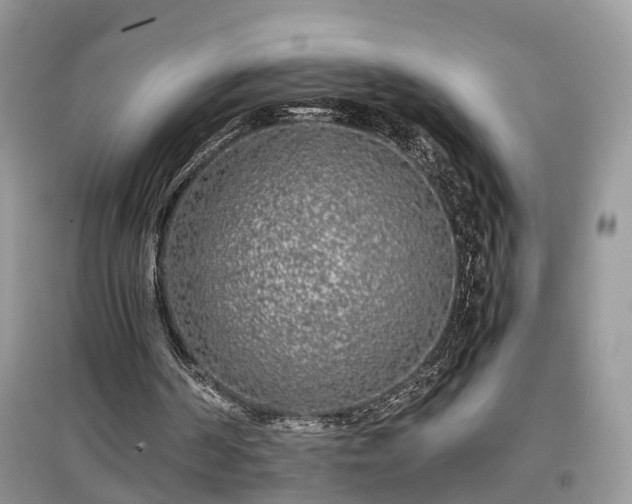 X0000097640194200803071600