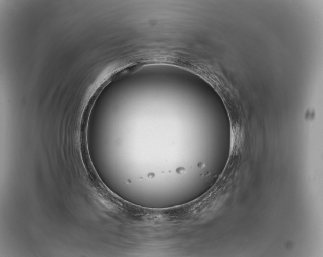 X0000097640195200803071600