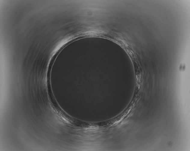 X0000097640196200803071600