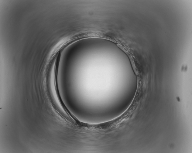 X0000097640197200803071600