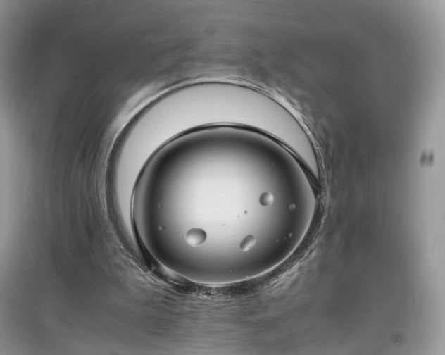 X0000097640199200803071600