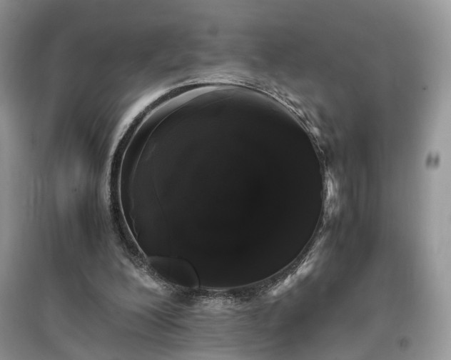 X0000097640200200803071600