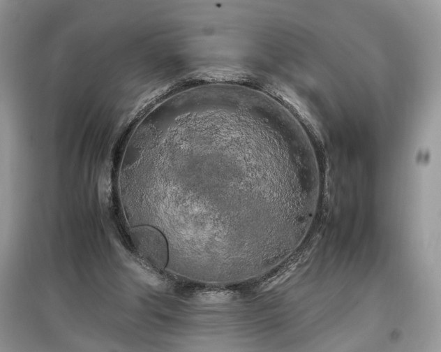 X0000097640202200803071600