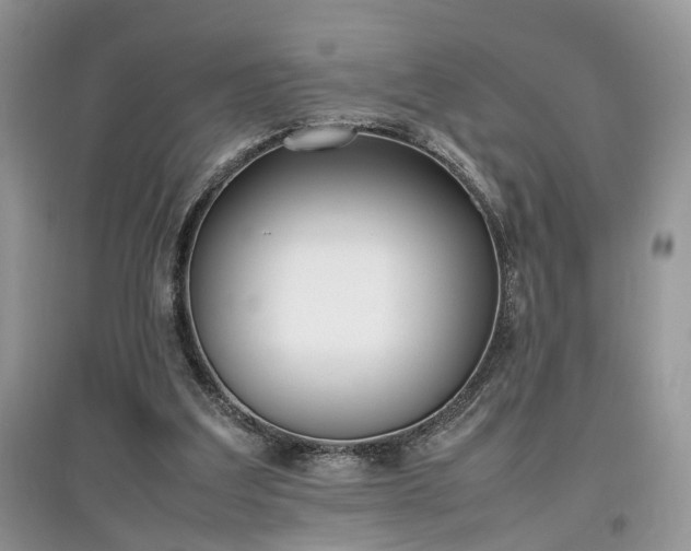 X0000097640203200803071600