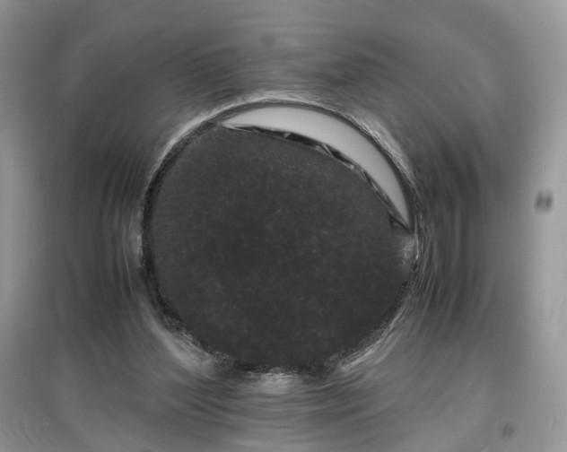 X0000097640204200803071600