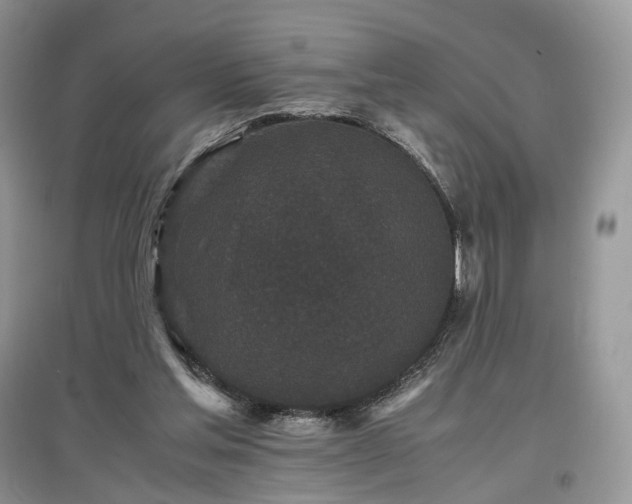 X0000097640205200803071600