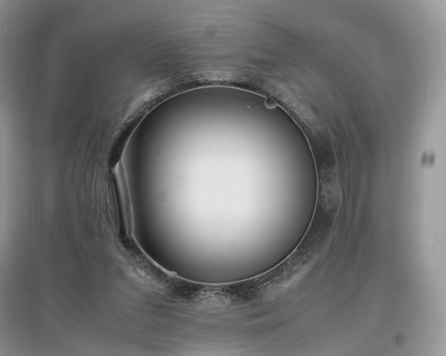 X0000097640207200803071600