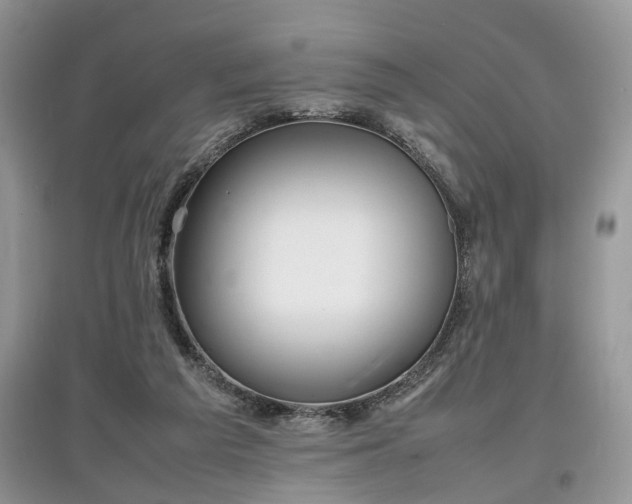 X0000097640209200803071600