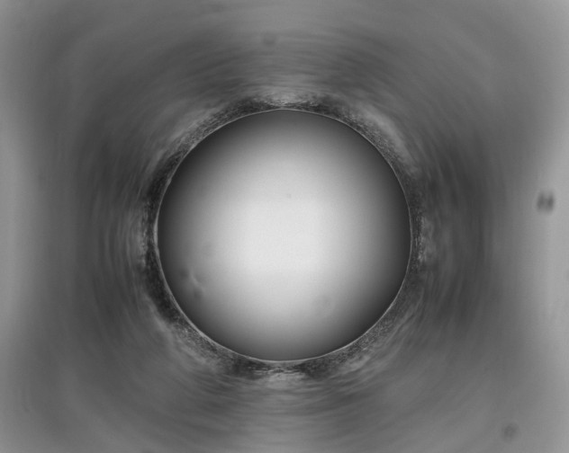 X0000097640210200803071600