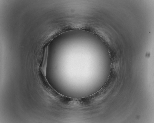 X0000097640211200803071600