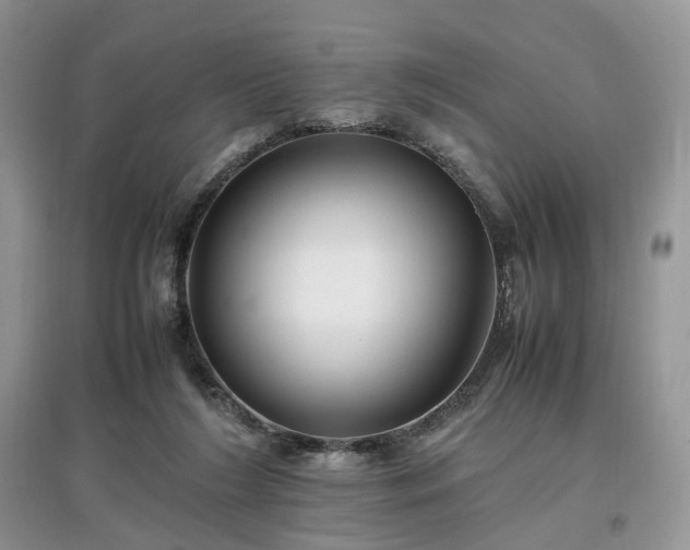 X0000097640212200803071600