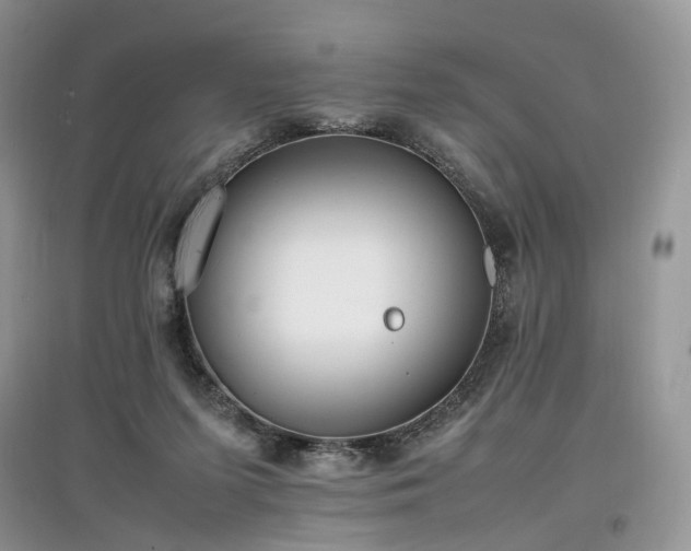 X0000097640215200803071600