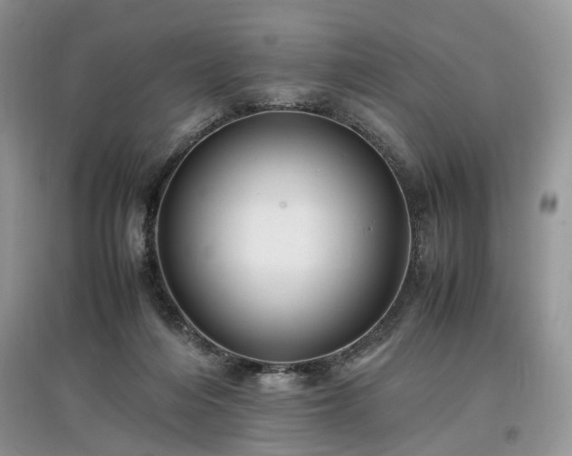 X0000097640216200803071600