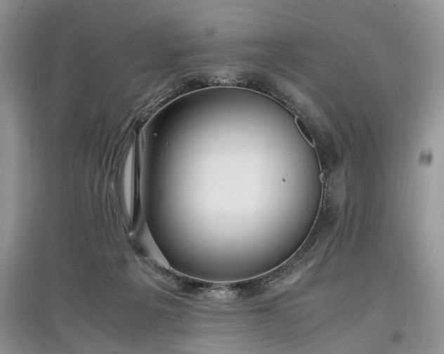 X0000097640217200803071600