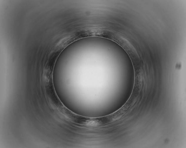 X0000097640218200803071600