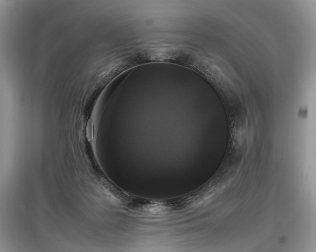 X0000097640219200803071600