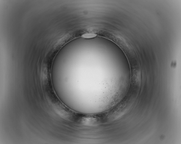 X0000097640220200803071600