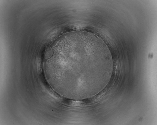 X0000097640222200803071559