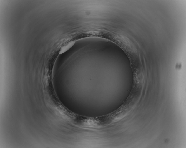 X0000097640223200803071559