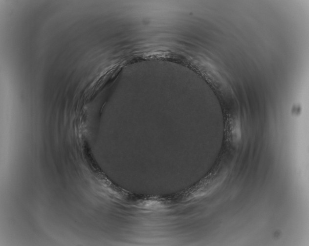 X0000097640224200803071559